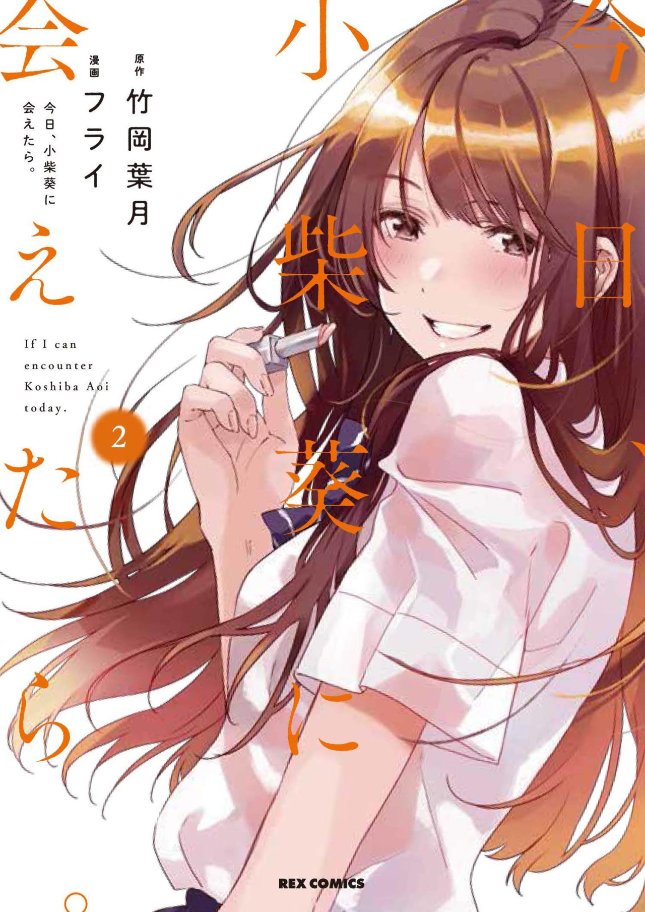 CHASING AFTER AOI KOSHIBA GN VOL 02 (MR) (C: 0-1-1)