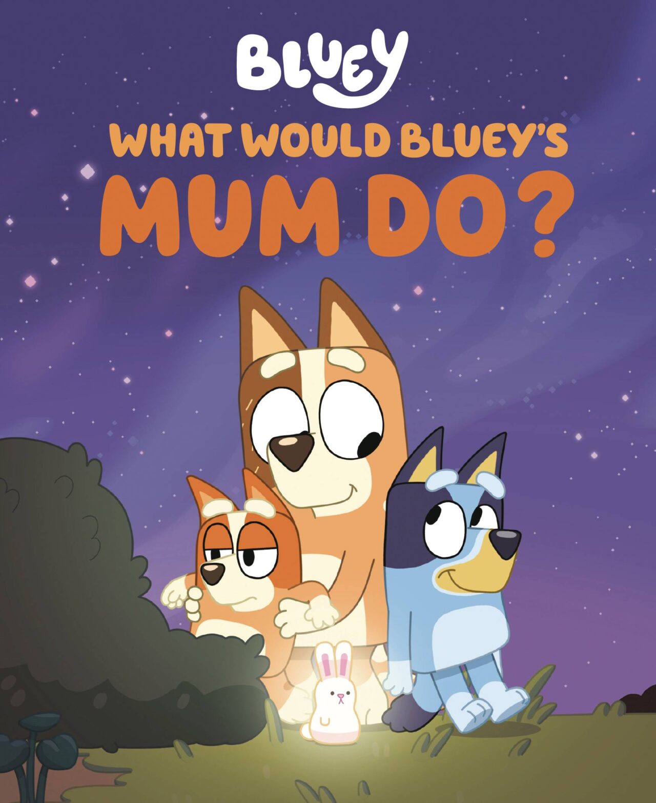 WHAT WOULD BLUEYS MUM DO HC (C: 0-1-2)