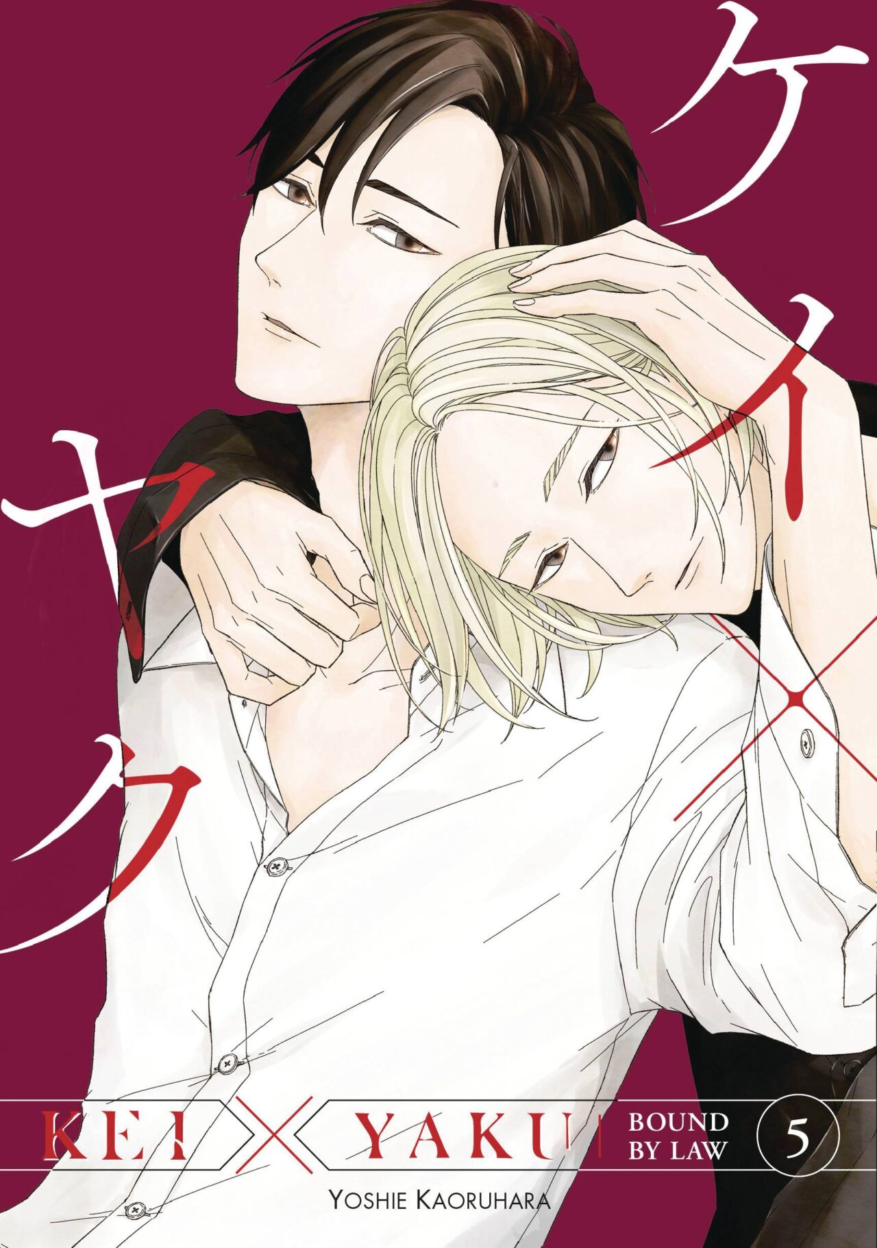 KEI X YAKU BOUND BY LAW GN VOL 05