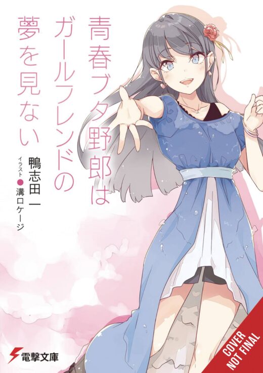 RASCAL DOES NOT DREAM OF GIRLFRIEND LIGHT NOVEL SC (C: 0-1-2