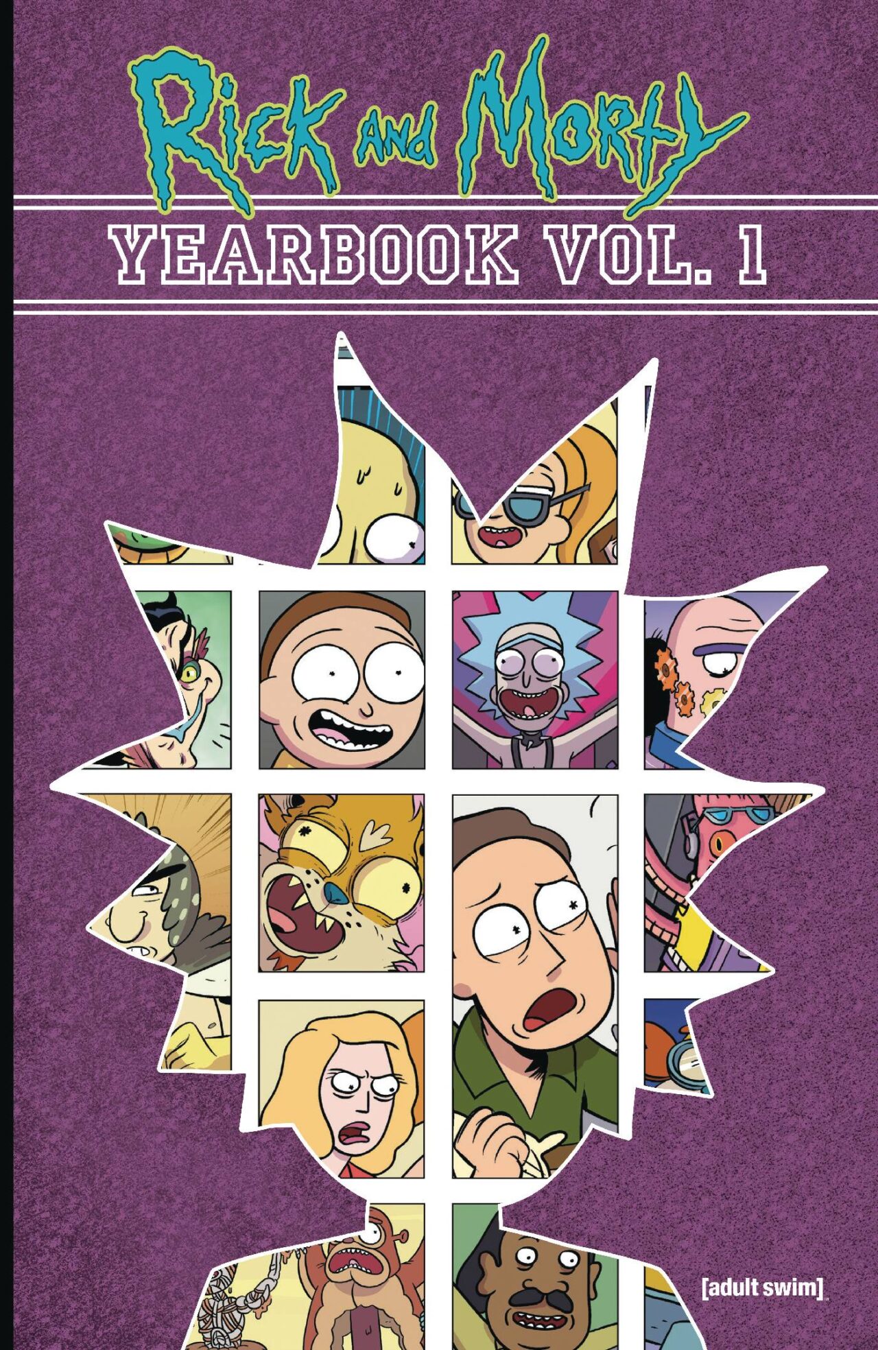 RICK AND MORTY YEARBOOK TP VOL 01 (MR)