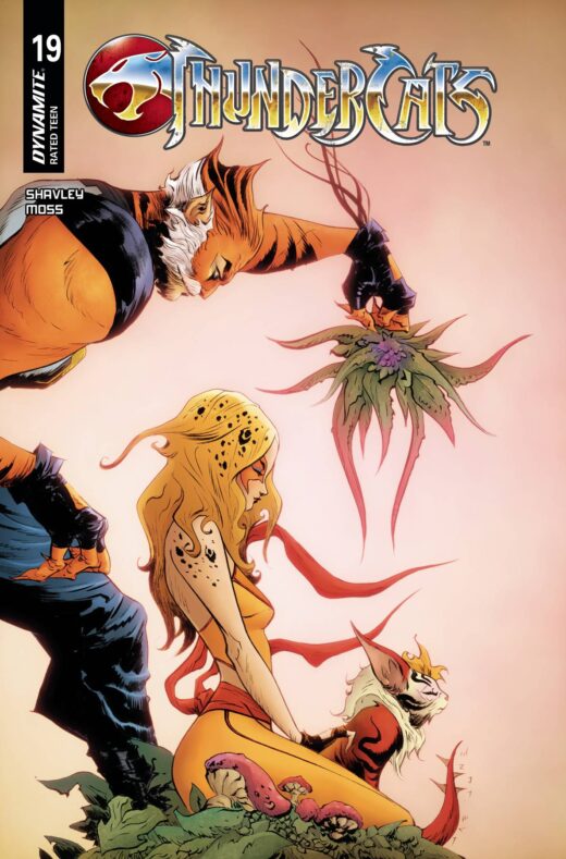 THUNDERCATS #19 CVR C LEE & CHUNG (C: 1-0-0)